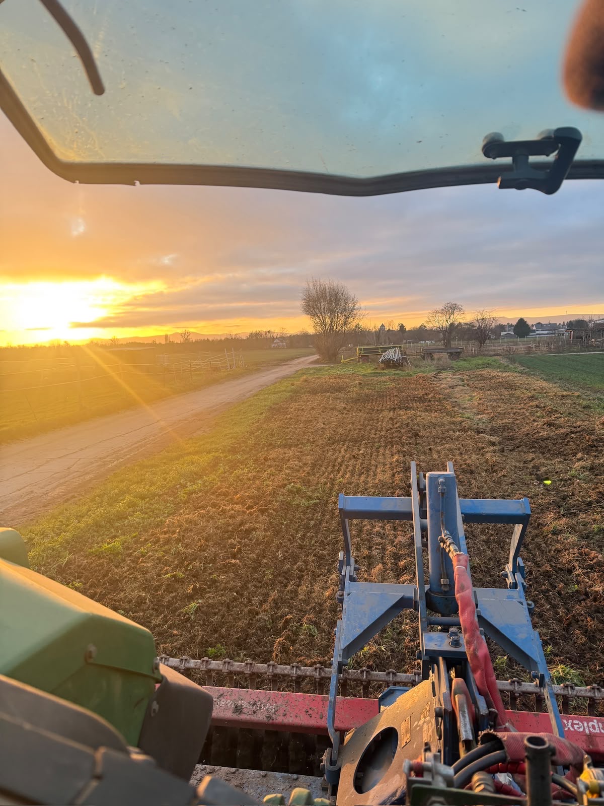 Feldarbeit im Abendlicht